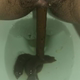 A rear under-ass view of a very cute girl as a long log hangs and drops, followed by the product. Filmed from a between the legs perspective. Vertical format video. About 2 minutes.